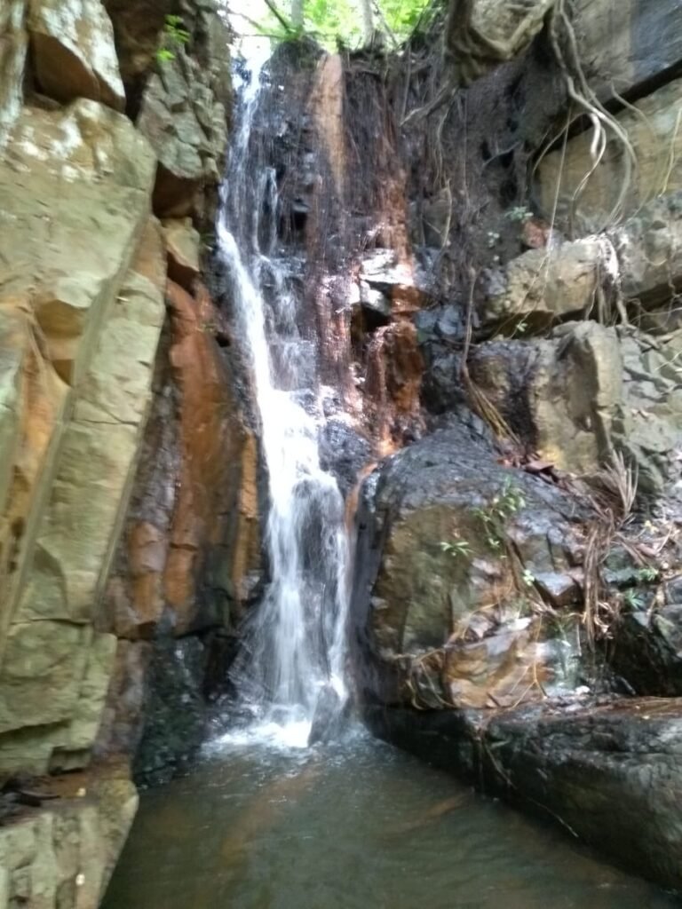 Fazenda  20 alqueires –  Cachoeira – Próximo a Cachoeira Poço Encantado – Casa Sede – Nascente – Piscina aquecida – Alto Paraíso de Goiás