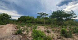Chácara 4ha com Rio – 6km de Terezina de Goiás – Chapada dos Veadeiros