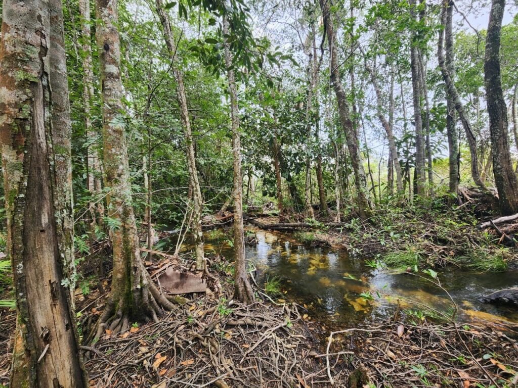 Chácara – Porteira Fechada – Rio – 5.7ha -Vale Verde – Alto Paraíso de Goiás