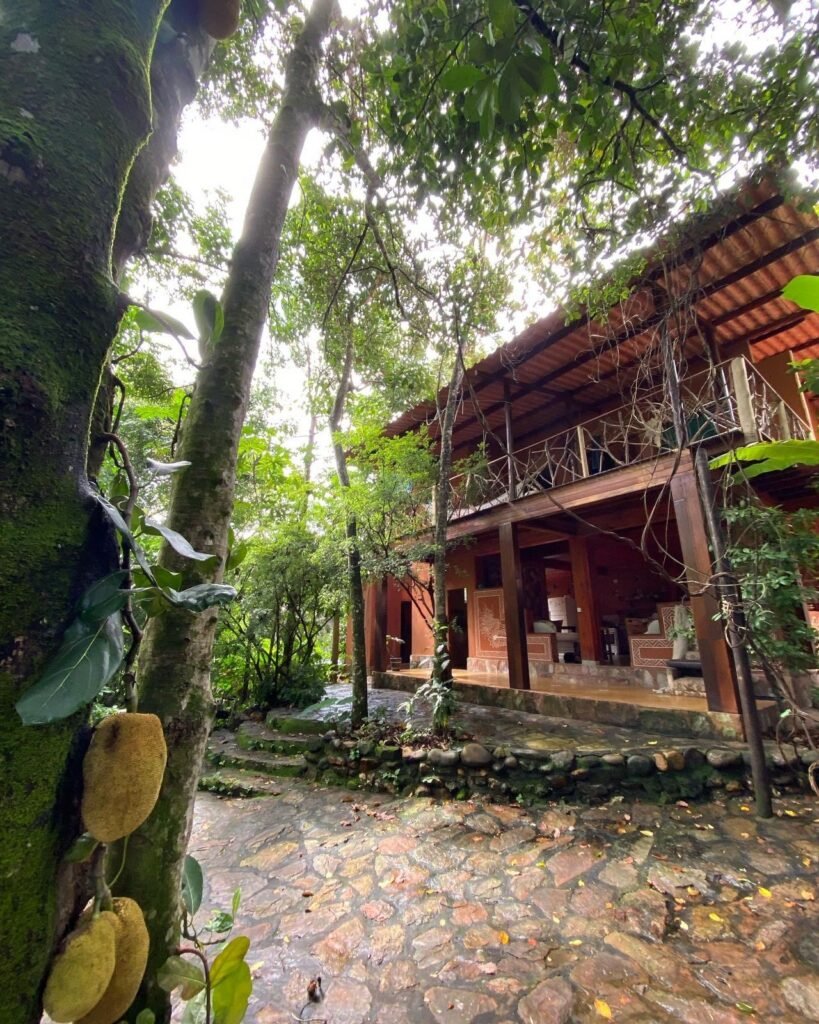 Pousada – Rio – Poço para Banho – Moinho – 4.000m2 – 12km de Alto Paraíso de Goiás
