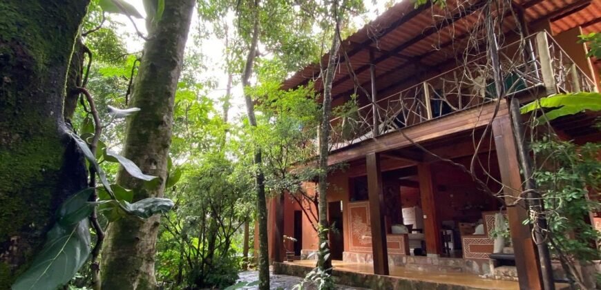 Pousada – Rio – Poço para Banho – Moinho – 4.000m2 – 12km de Alto Paraíso de Goiás