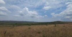 Chácara 4 ha – 13 km de Alto Paraíso sentido São Jorge