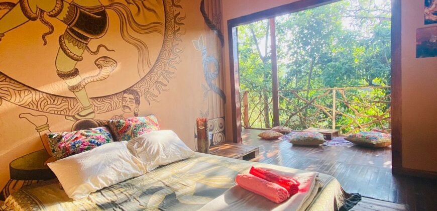 Pousada – Rio – Poço para Banho – Moinho – 4.000m2 – 12km de Alto Paraíso de Goiás