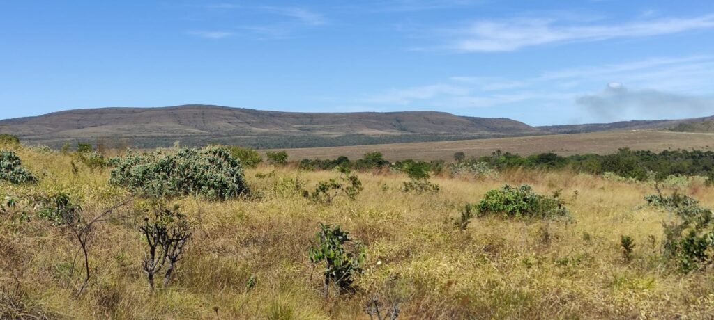 Chácara 5ha – na  Fazenda São Bento – entre Alto Paraíso e São Jorge
