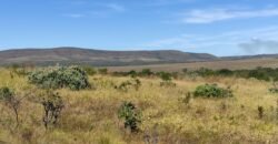 Chácara 5ha – na  Fazenda São Bento – entre Alto Paraíso e São Jorge