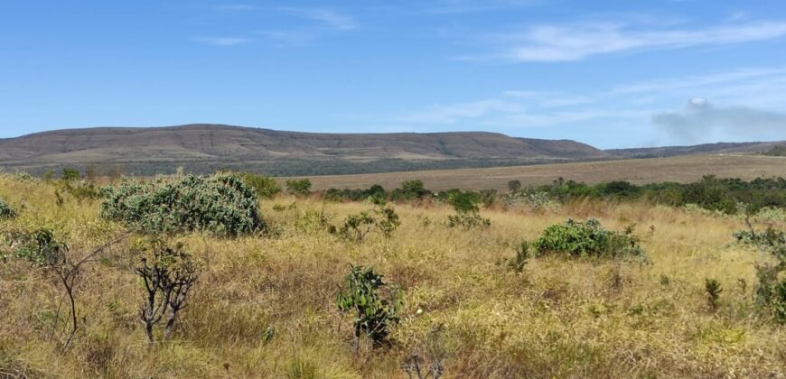 Chácara 5ha – na  Fazenda São Bento – entre Alto Paraíso e São Jorge