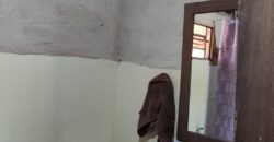 3 Casas Bioconstrução – Condomínio Rural IBC – Rio- 4km de Alto Paraíso de Goiás