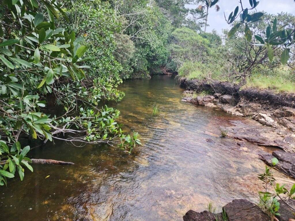 Chácara – Porteira Fechada – Rio – 5.7ha -Vale Verde – Alto Paraíso de Goiás