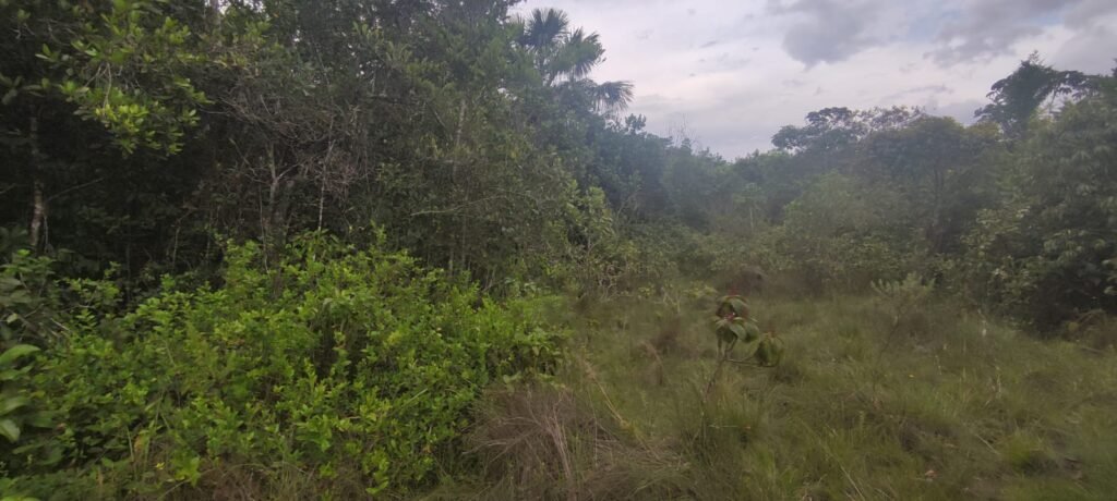 Maravilhosa Chácara 20ha – Recifra – Alto Paraíso de Goiás