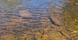 Chácara Suçuarana com RIO, Próximo a Cachoeira do Poço Encantado – Chapada dos Veadeiros