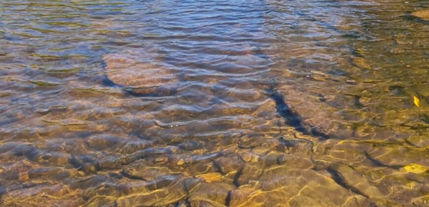 Chácara Suçuarana com RIO, Próximo a Cachoeira do Poço Encantado – Chapada dos Veadeiros