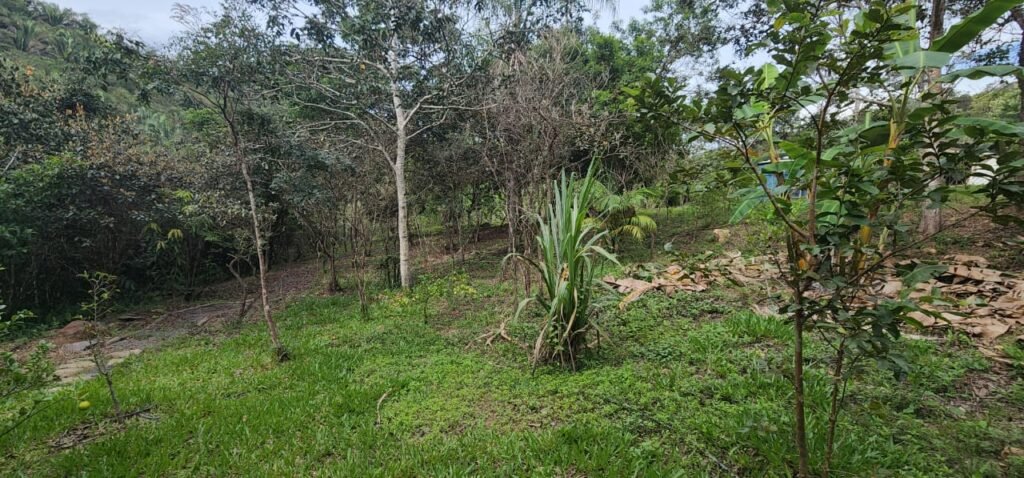 Casa – Rio – Lote 9.000 m2 – Alto Paraíso de Goiás