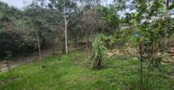 Casa – Rio – Lote 9.000 m2 – Alto Paraíso de Goiás