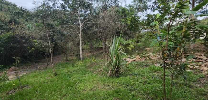Casa – Rio – Lote 9.000 m2 – Alto Paraíso de Goiás