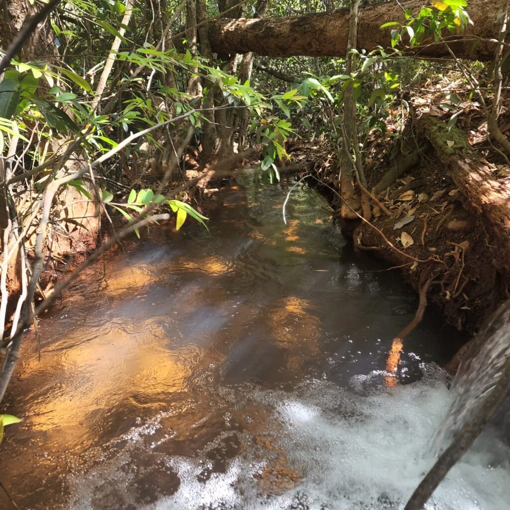 Fazenda 100ha- Rio – Casa Sede – 13km de Alto Paraíso e 1km de Terra