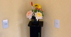 Vende-se Casa – Monte Sinai – Alto Paraíso de Goiás