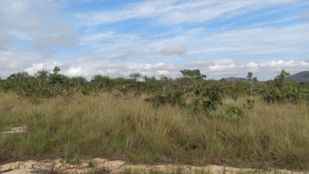 Chácara 4 ha – 5 km de Alto Paraíso sentido Cachoeira dos Cristais