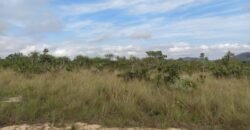 Chácara 4 ha – 5 km de Alto Paraíso sentido Cachoeira dos Cristais