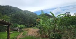 Casa – Rio – Lote 9.000 m2 – Alto Paraíso de Goiás