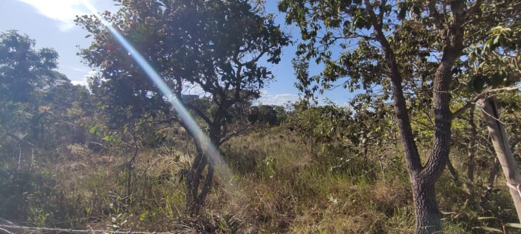 Lote 574m2 – R. dos Vinhaticos – Eldorado – Alto Paraíso de Goiás