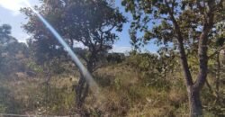 Lote 574m2 – R. dos Vinhaticos – Eldorado – Alto Paraíso de Goiás Lote 574m2 – R. dos Vinhaticos – Eldorado – Alto Paraíso de Goiás