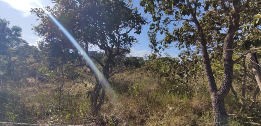 Lote 574m2 – R. dos Vinhaticos – Eldorado – Alto Paraíso de Goiás