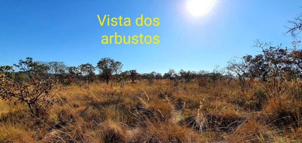 Linda Chácara 5ha – Acesso ao Rio – 16 km de Alto Paraíso