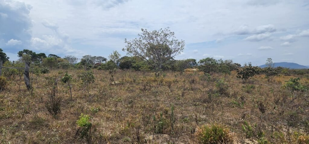 Chácara 4 ha – 13 km de Alto Paraíso sentido São Jorge