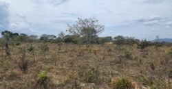 Chácara 4 ha – 13 km de Alto Paraíso sentido São Jorge