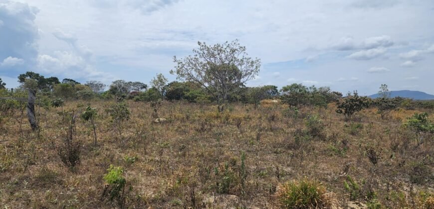 Chácara 4 ha – 13 km de Alto Paraíso sentido São Jorge