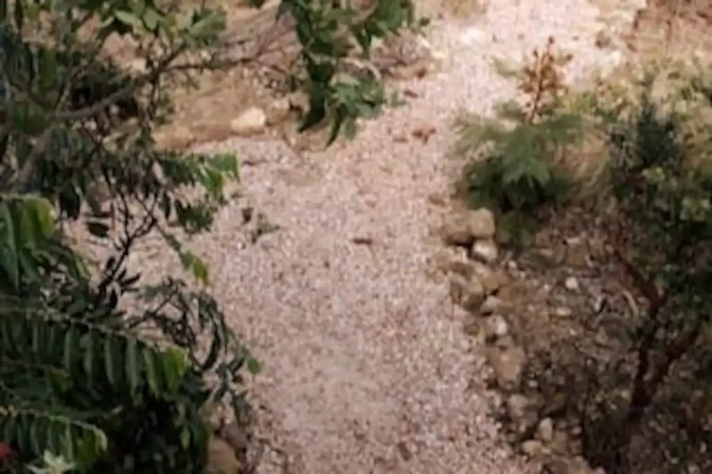 Pousada – Alto Padrão – Piscina Natural – Bairro Eldorado – Alto Paraíso de Goiás