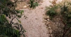 Pousada – Alto Padrão – Piscina Natural – Bairro Eldorado – Alto Paraíso de Goiás Pousada – Alto Padrão – Piscina Natural – Bairro Eldorado – Alto Paraíso de Goiás