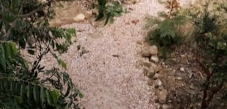 Pousada – Alto Padrão – Piscina Natural – Bairro Eldorado – Alto Paraíso de Goiás