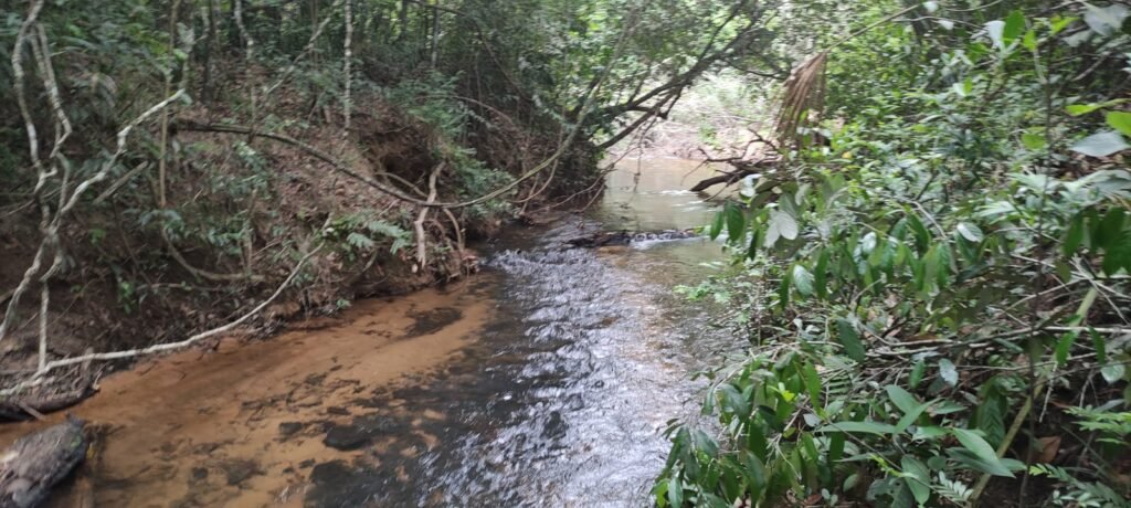 Maravilhosa Chácara 20ha – Recifra – Alto Paraíso de Goiás