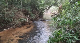 Maravilhosa Chácara 20ha – Recifra – Alto Paraíso de Goiás Maravilhosa Chácara 20ha – Recifra – Alto Paraíso de Goiás