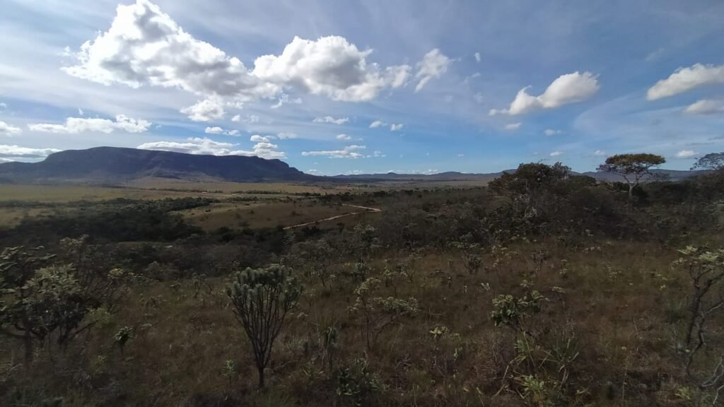 Chácara com Rio Almecegas – Vale verde – 15ha – 15km de Alto Paraíso de Goiás, Sentido Pousada Inacia