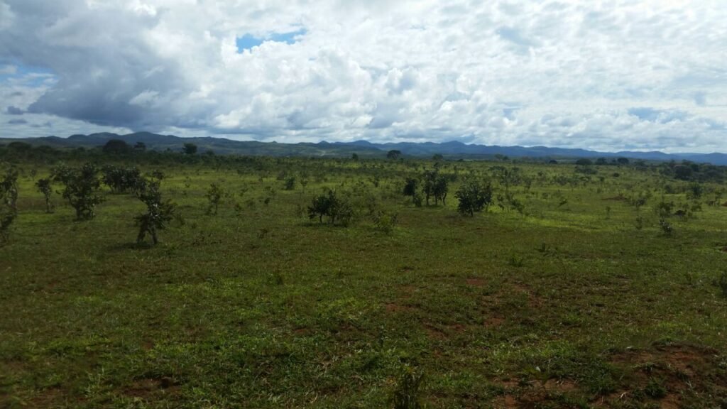 Chácara 4 ha – 5km de Alto Paraíso sentido Cachoeira dos Cristais