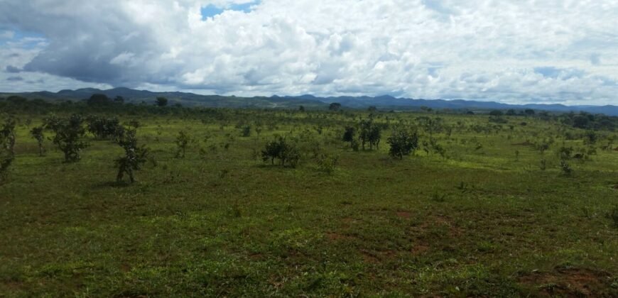 Chácara 4 ha – 5km de Alto Paraíso sentido Cachoeira dos Cristais