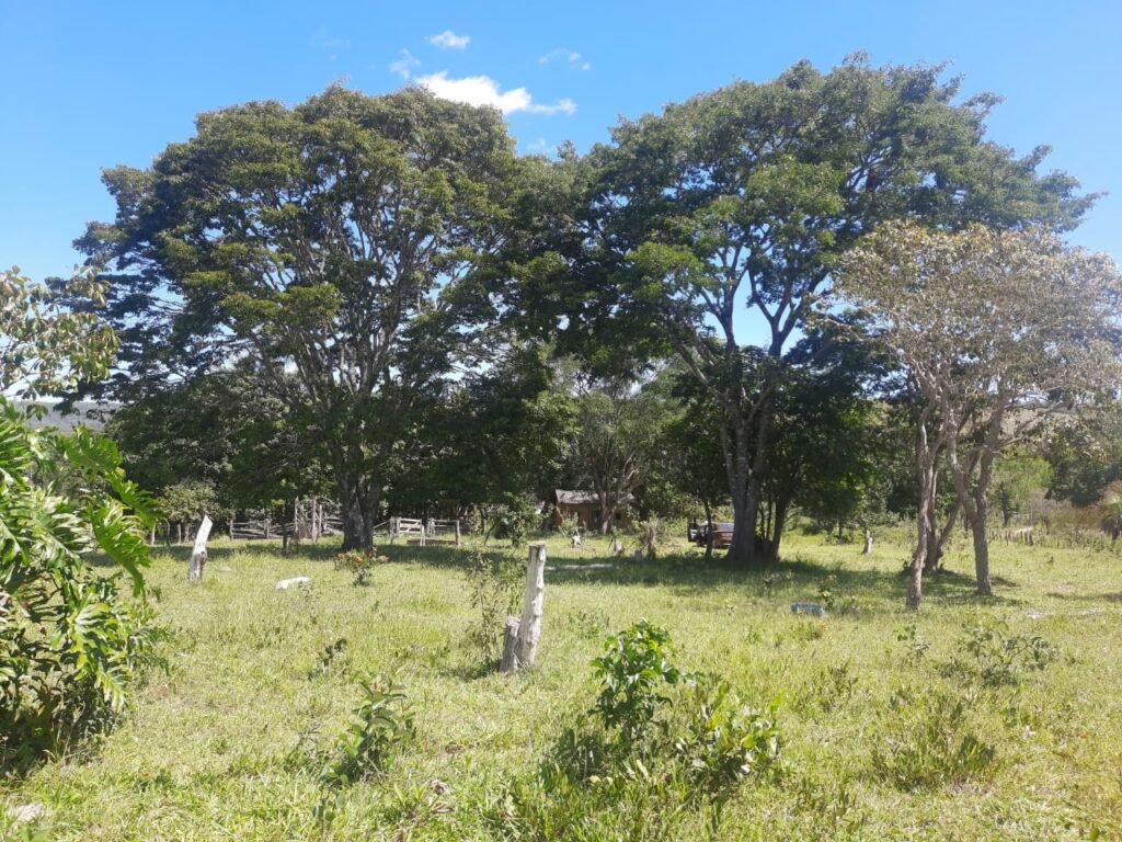 Chácara 2.7 Alq. – Povoado Bandeira – Rio – Nascente – 24km de Alto Paraíso de Goiás