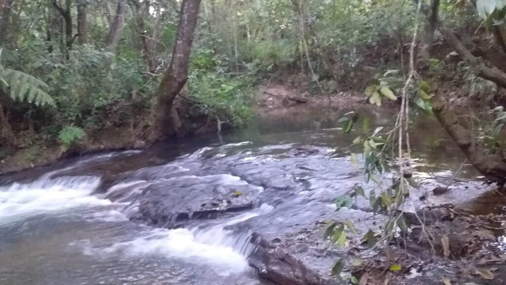 Maravilhosa Chácara 20ha – Recifra – Alto Paraíso de Goiás