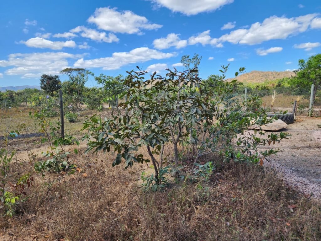 Maravilhosa Casa – pegada ecológica – 2,5km de Cavalcante/GO sentido Cachoeira Santa Barbara – Chapada dos Veadeiros