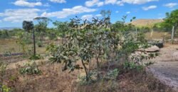 Maravilhosa Casa – pegada ecológica – 2,5km de Cavalcante/GO sentido Cachoeira Santa Barbara – Chapada dos Veadeiros Maravilhosa Casa – pegada ecológica – 2,5km de Cavalcante/GO sentido Cachoeira Santa Barbara – Chapada dos Veadeiros