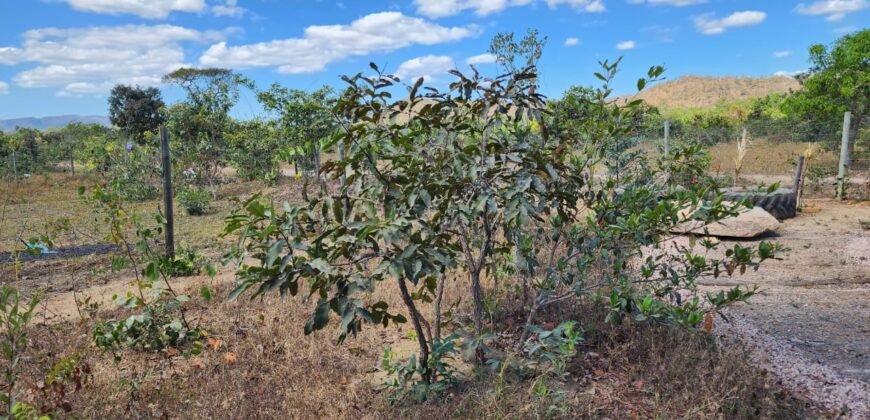 Maravilhosa Casa – pegada ecológica – 2,5km de Cavalcante/GO sentido Cachoeira Santa Barbara – Chapada dos Veadeiros