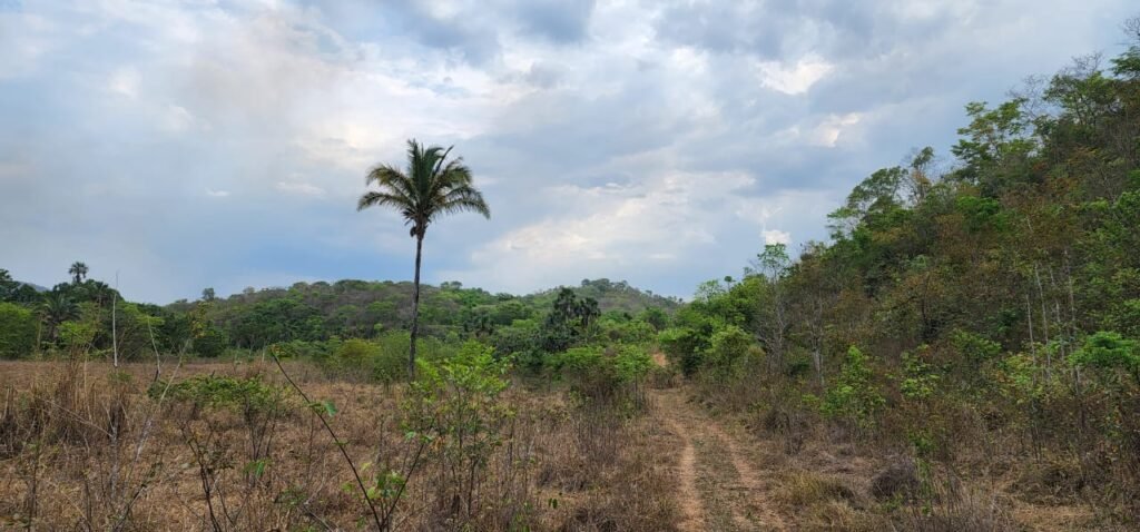 Chácara 11ha Beira Rio São Miguel – 17km de São Jorge – Chapada dos Veadeiros