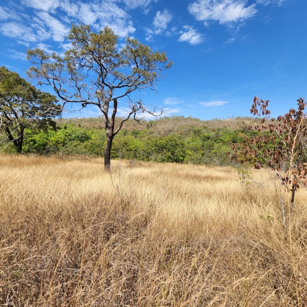 Fazenda 100ha- Rio – Casa Sede – 13km de Alto Paraíso e 1km de Terra