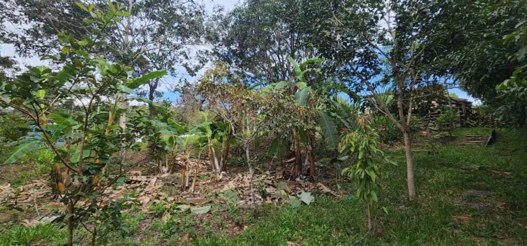 Casa – Rio – Lote 9.000 m2 – Alto Paraíso de Goiás