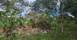 Casa – Rio – Lote 9.000 m2 – Alto Paraíso de Goiás