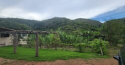 Casa – Rio – Lote 9.000 m2 – Alto Paraíso de Goiás