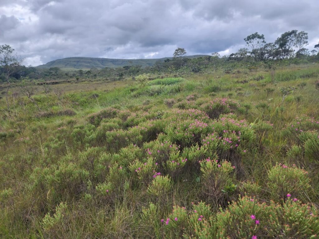 Chácara – Porteira Fechada – Rio – 5.7ha -Vale Verde – Alto Paraíso de Goiás