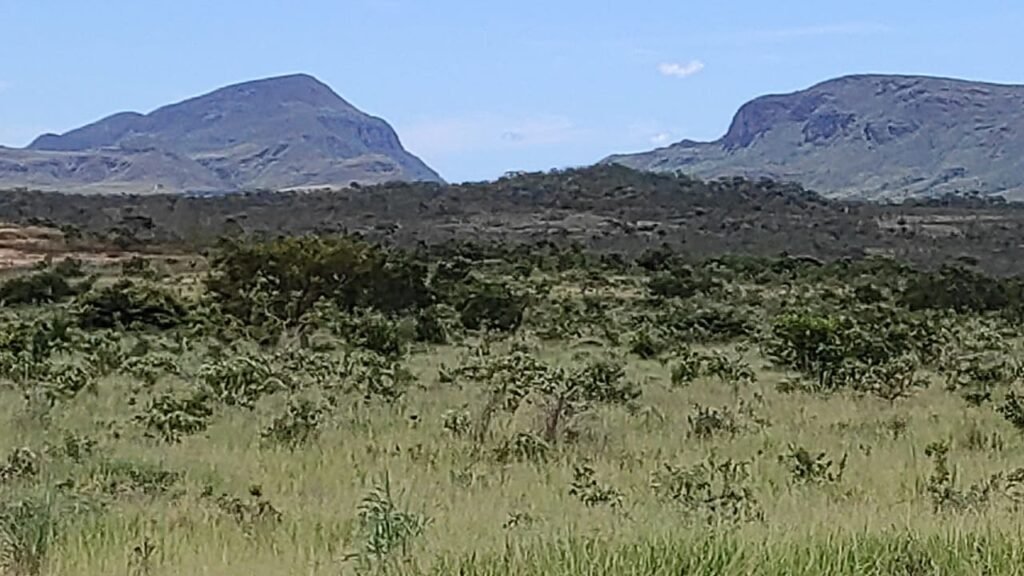 Área 4.7ha – Fazenda São Bento – Margem GO 239 – 7 km de Alto Paraíso sentido São Jorge